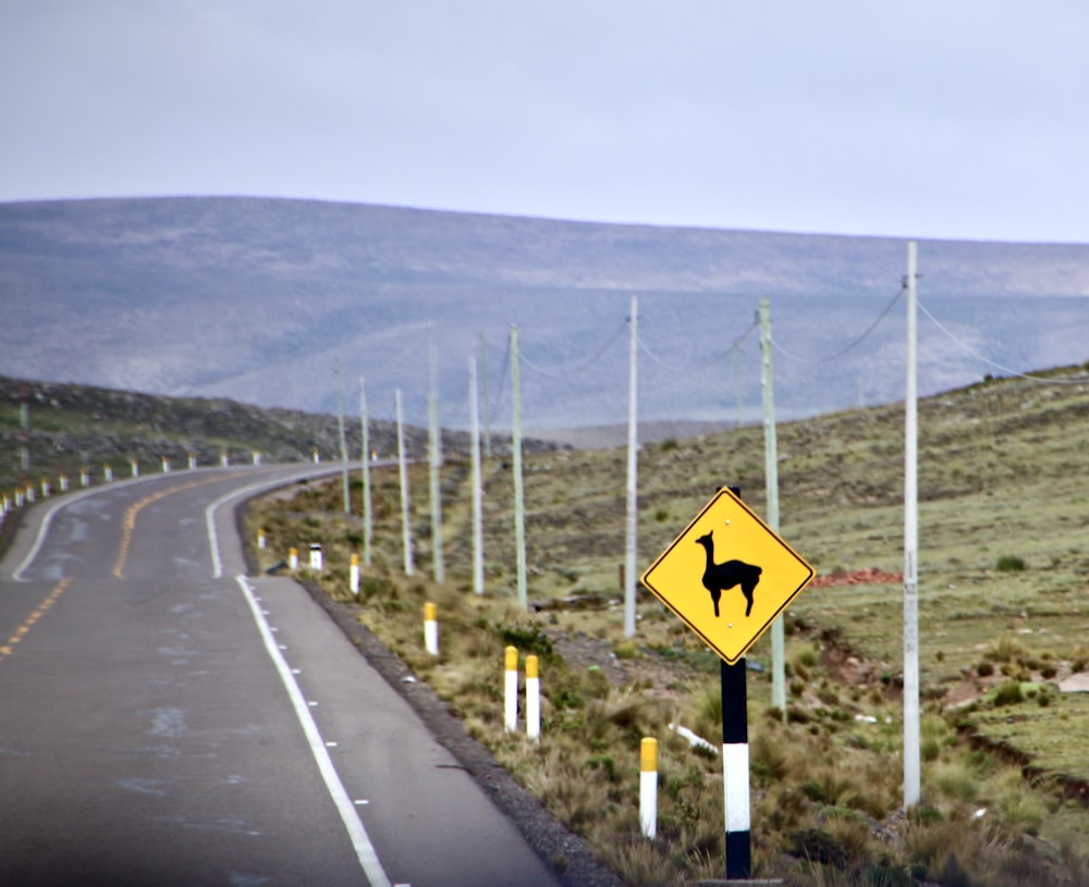 yellow and black road sign on gray asphalt road during daytime