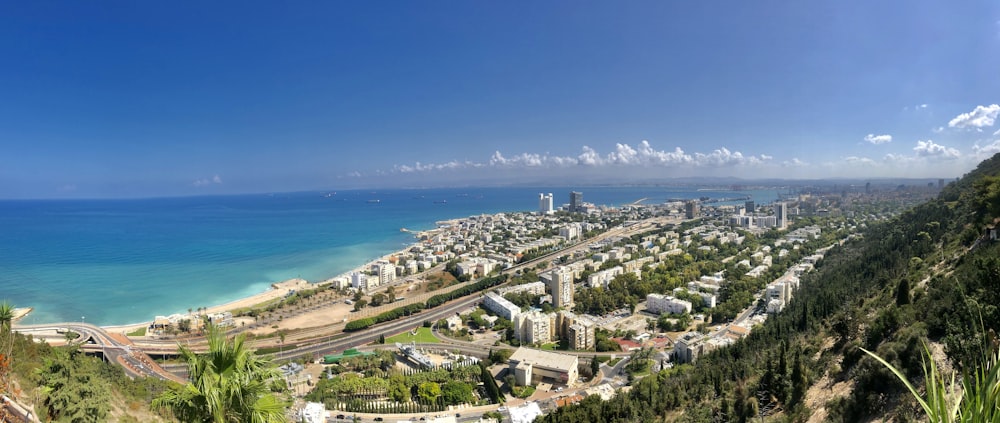 aerial view of city buildings near body of water during daytime