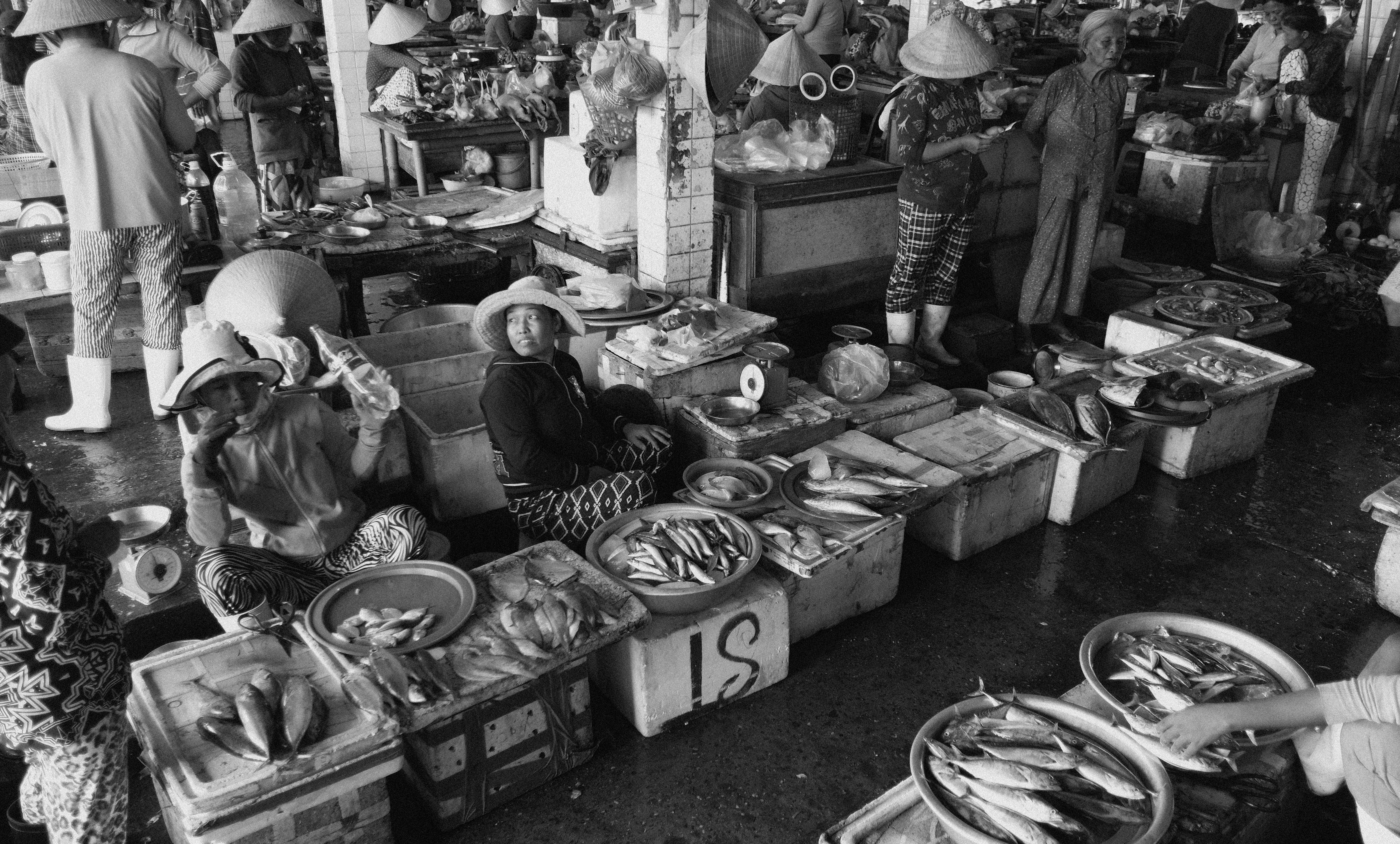 Photo by patricktravelist