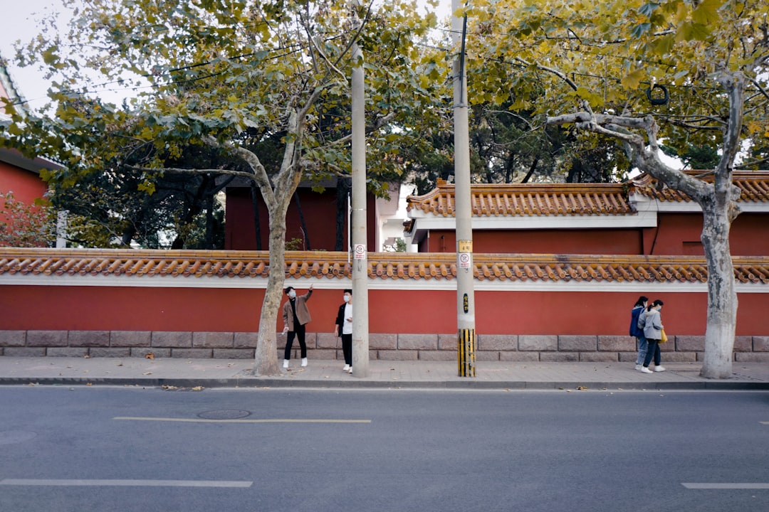 people walking on street during daytime