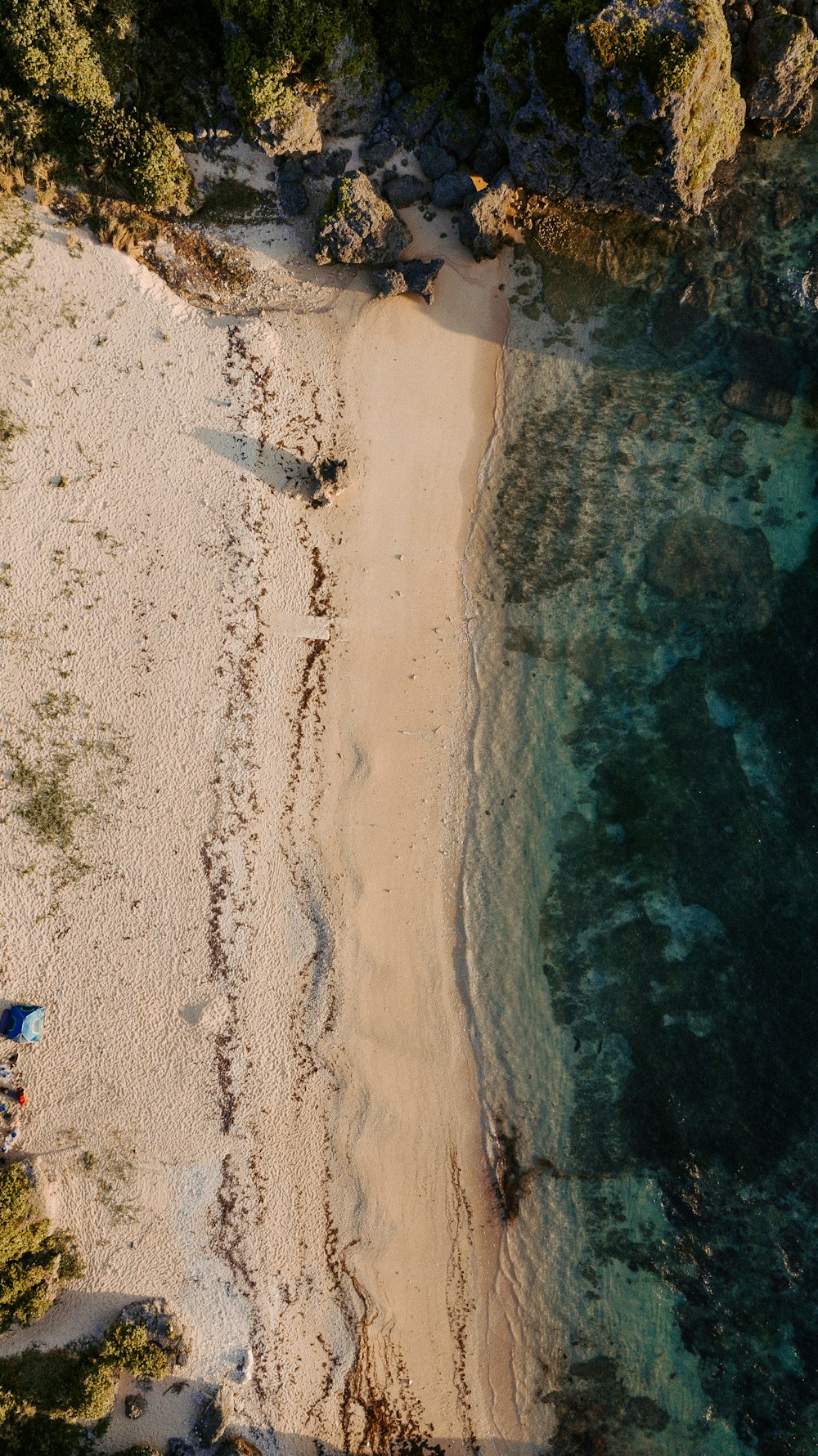 aerial view of people on beach during daytime