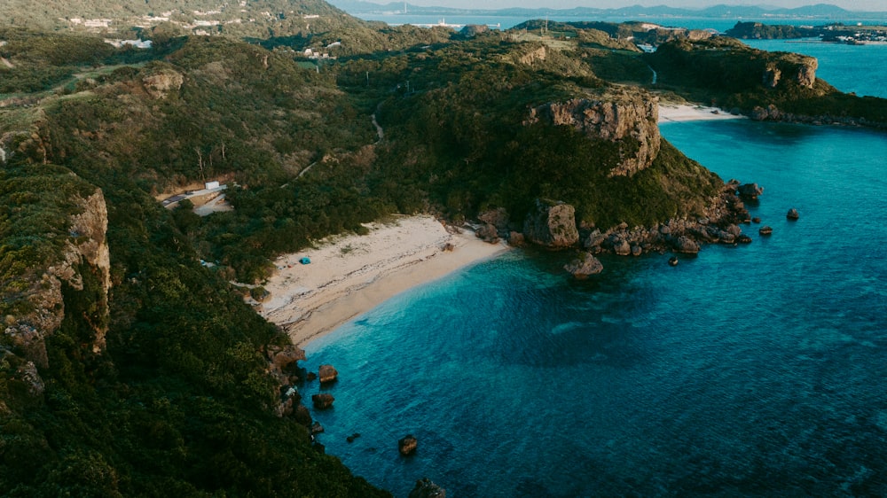 people on beach during daytime