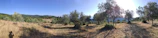 A panoramic view of Siliana's natural landscapes with olive groves and rolling hills.