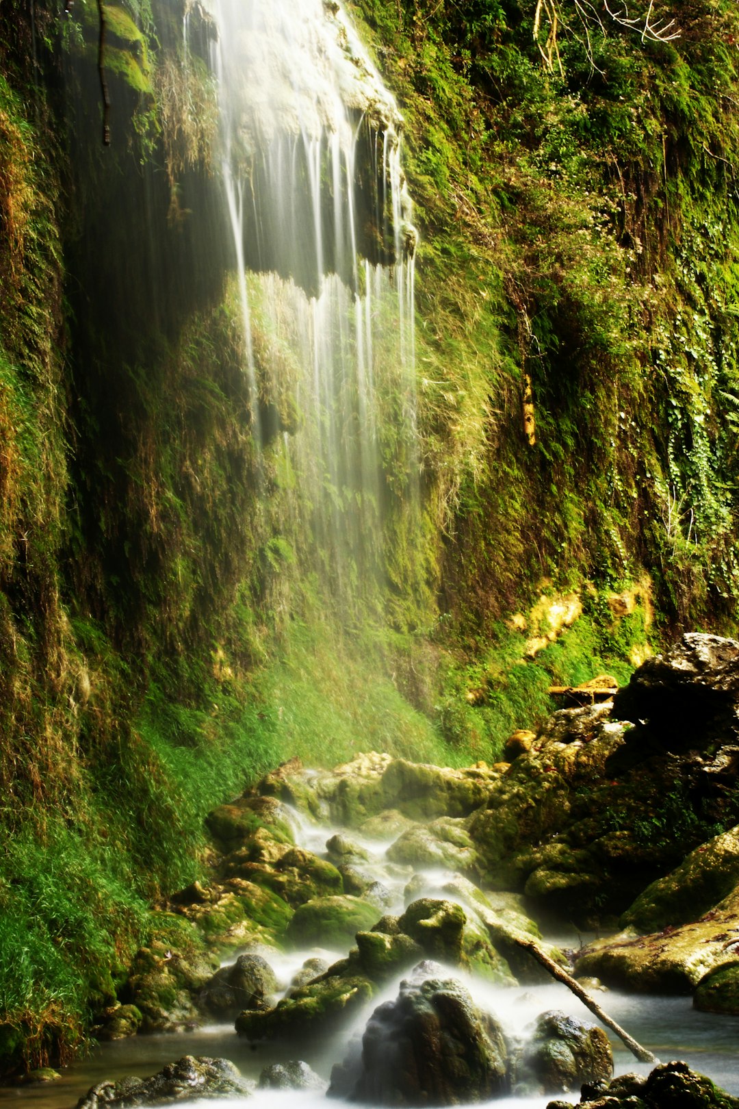 water falls in the forest