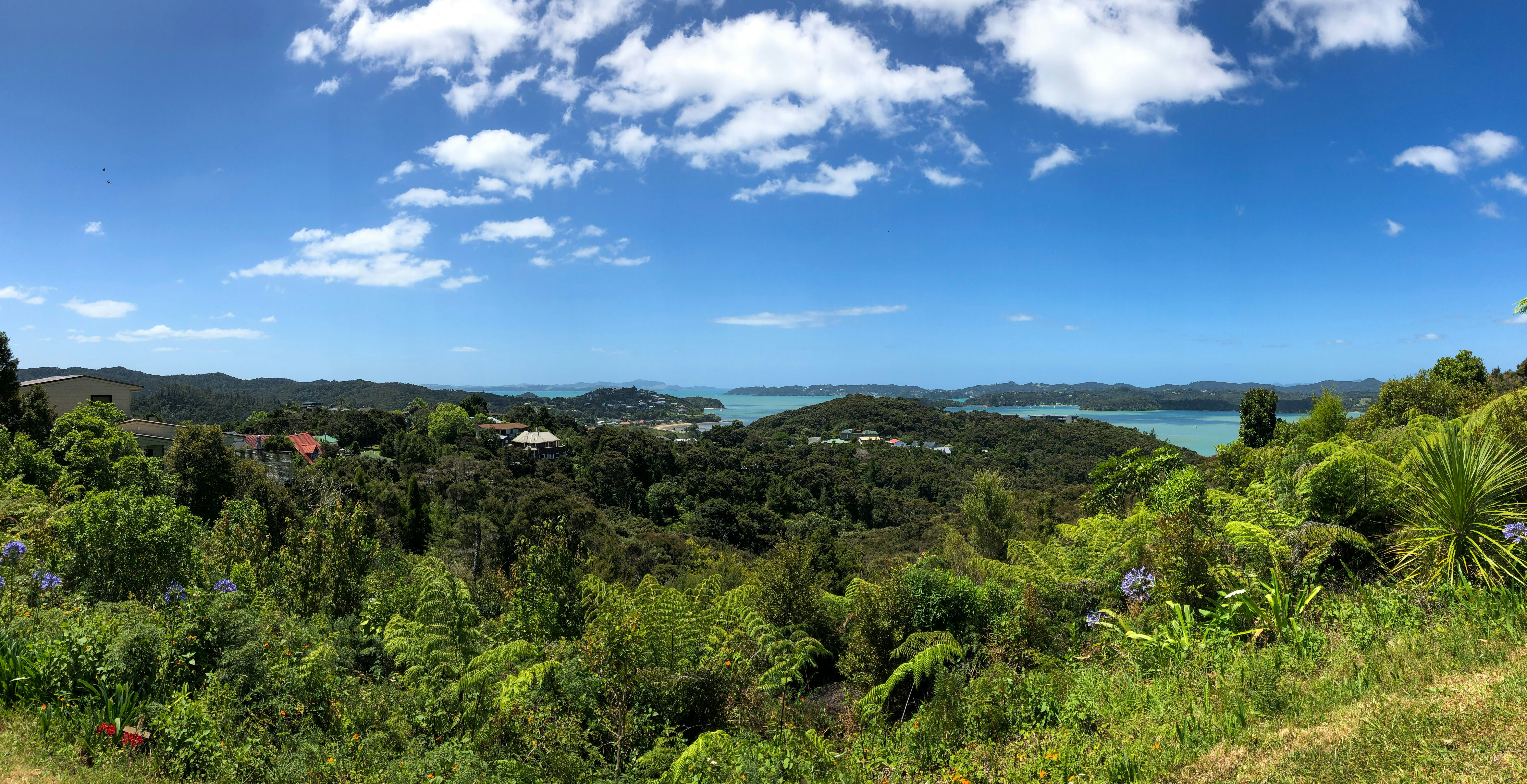 Photo of Paihia