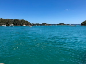 A serene view of a fastboat cruising over clear blue waters with lush islands in the background.
