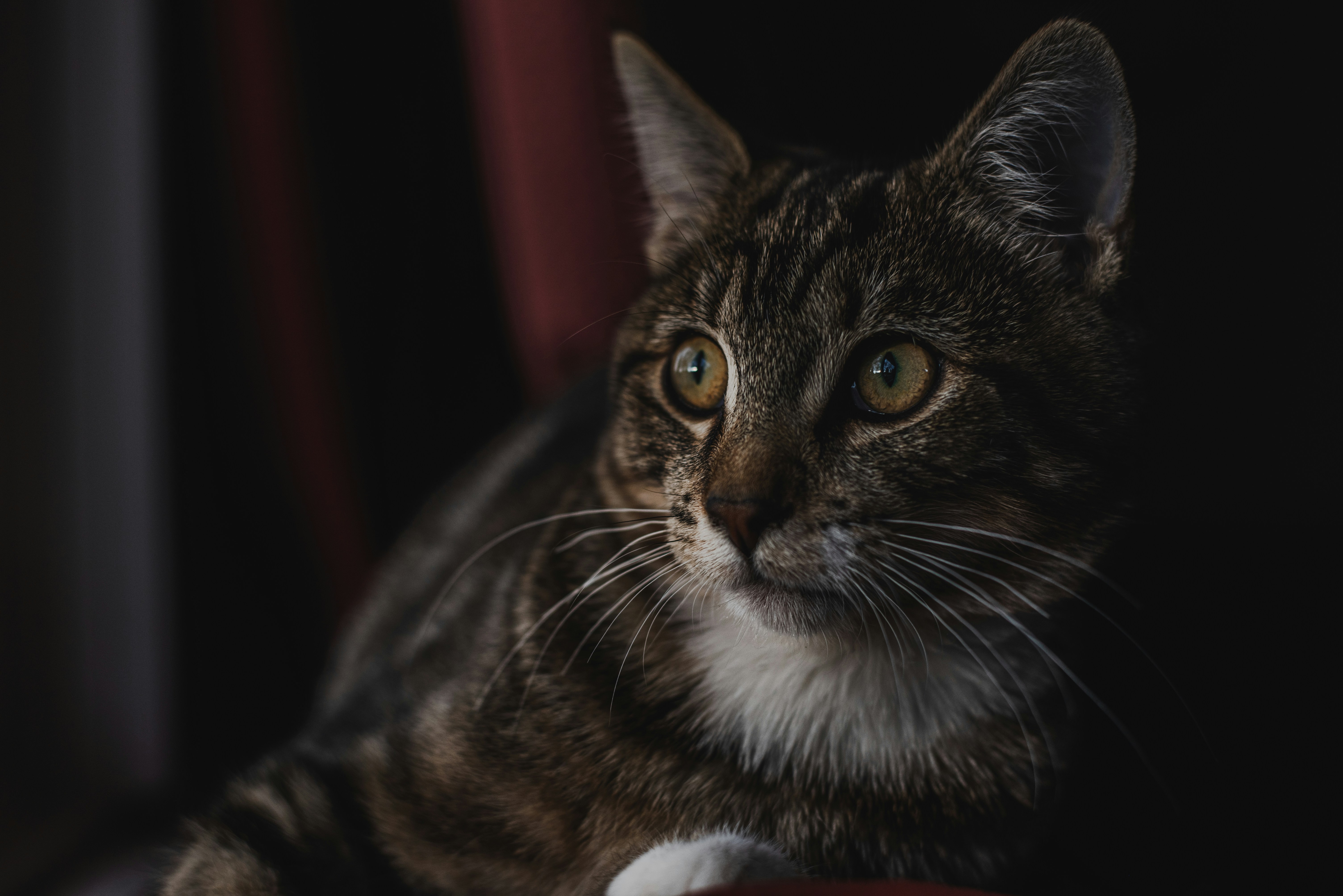 Photo by ryunosuke_kikuno