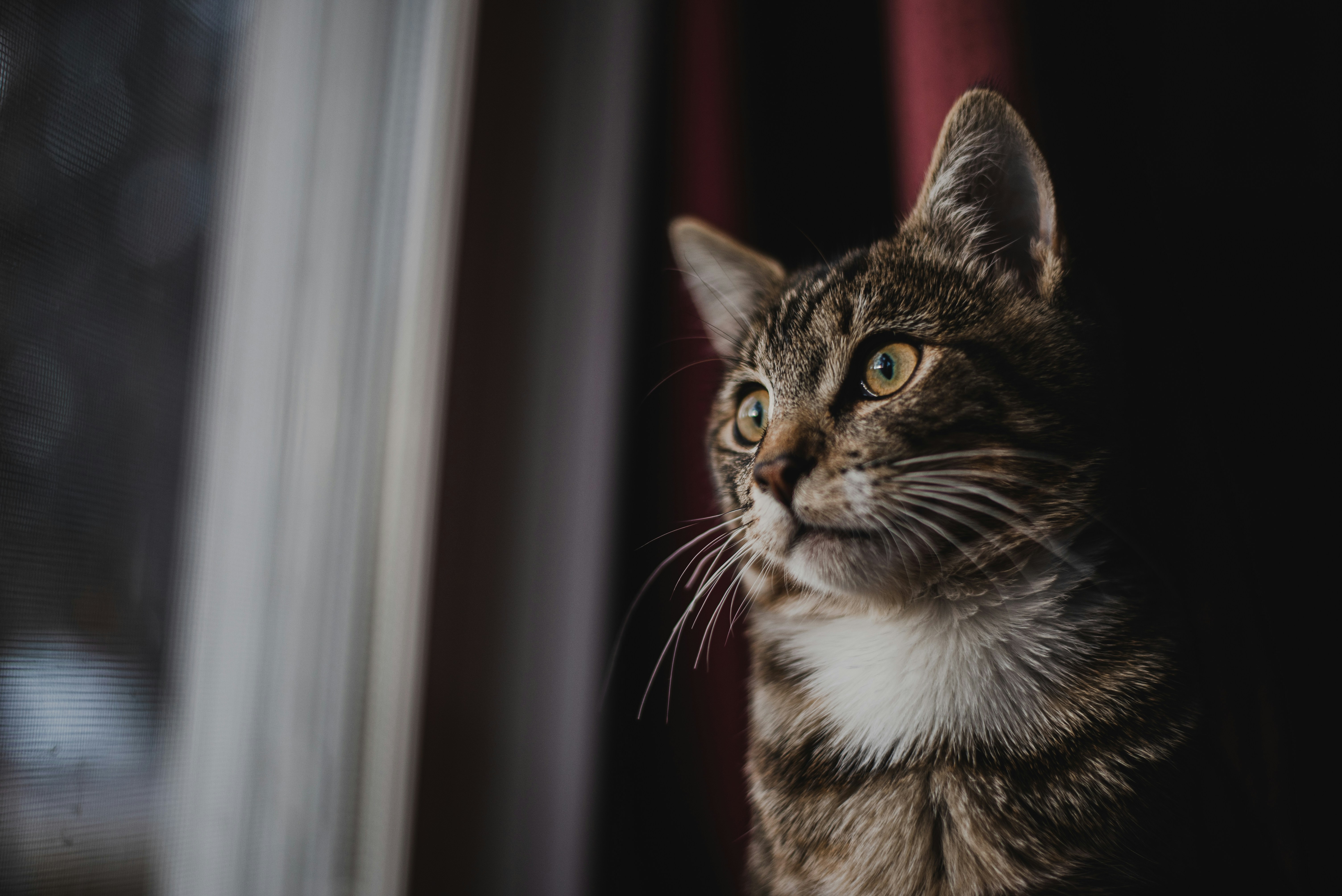 Photo by ryunosuke_kikuno