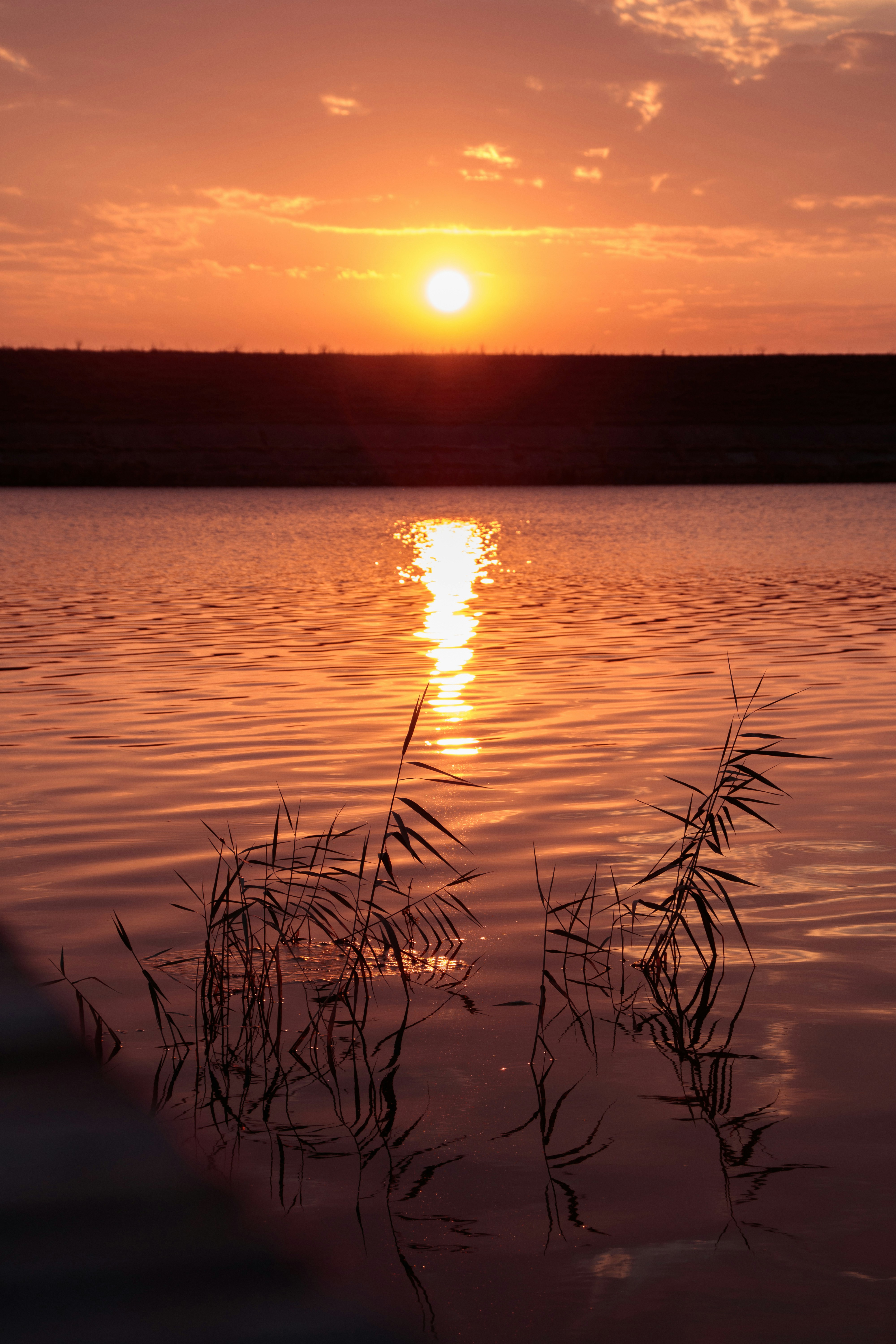 Photo by stefan_nutu