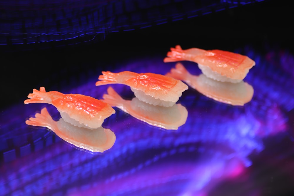 blue and orange jelly fish