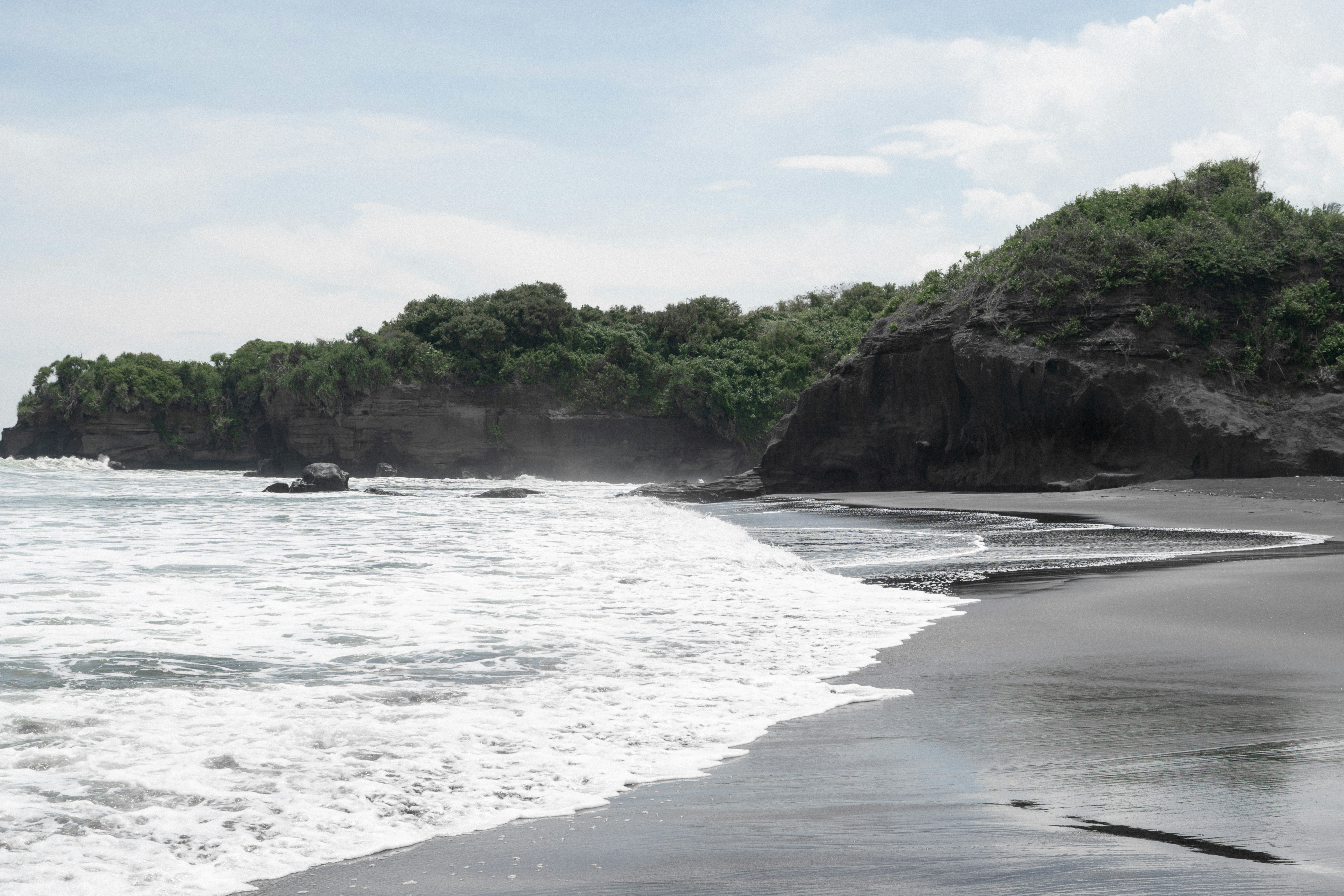 green trees on seashore during daytime