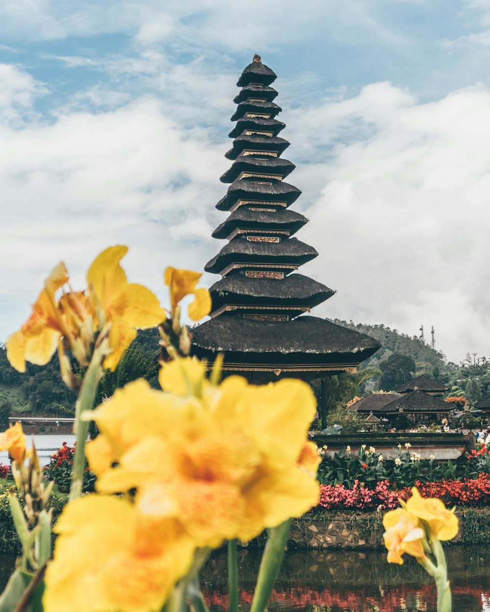 yellow flower in front of gray concrete tower