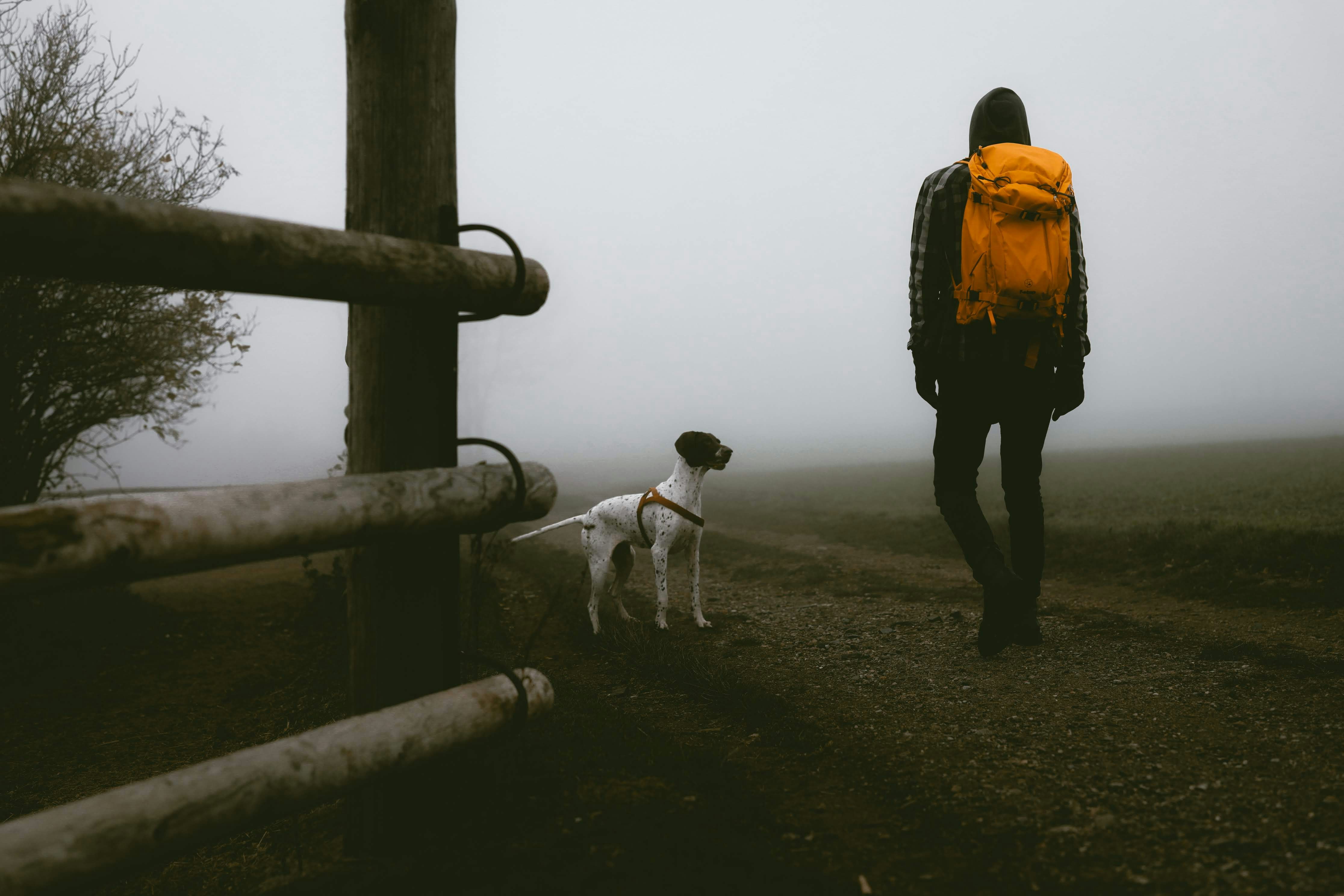 Photo by natalie_dator