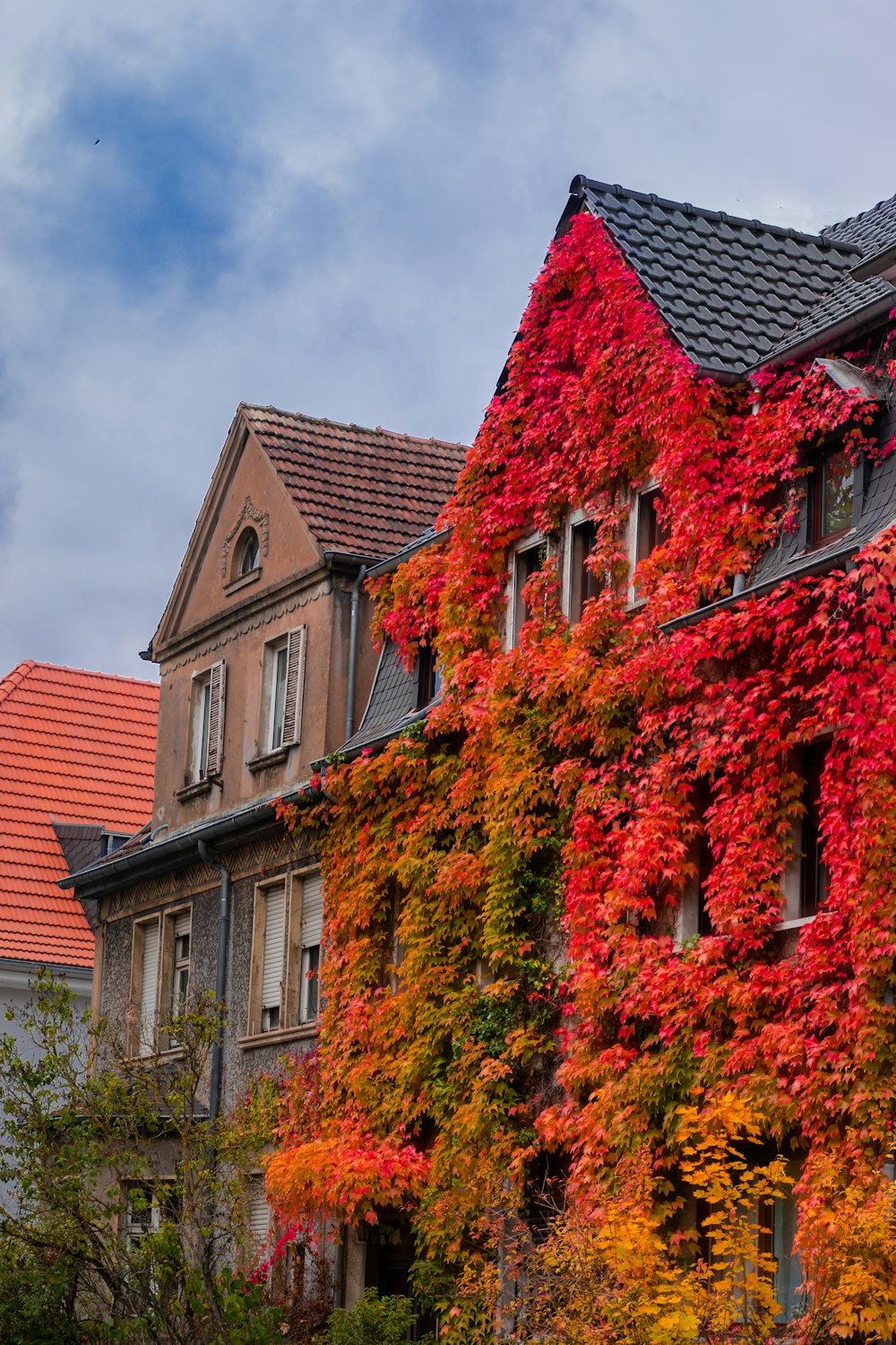 녹색과 주황색 식물이있는 갈색 벽돌 건물