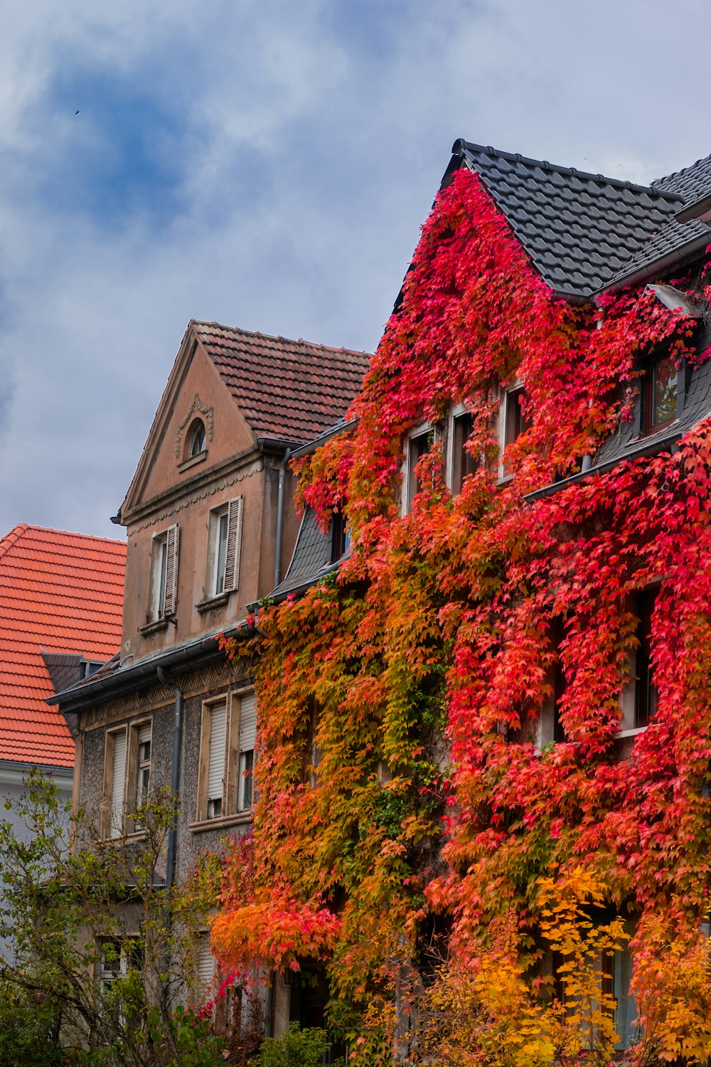 brown brick building with green and orange plants