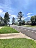 Close-up of street electrical lines running through a leafy suburban neighborhood.