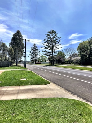 Close-up of street electrical lines running through a leafy suburban neighborhood.