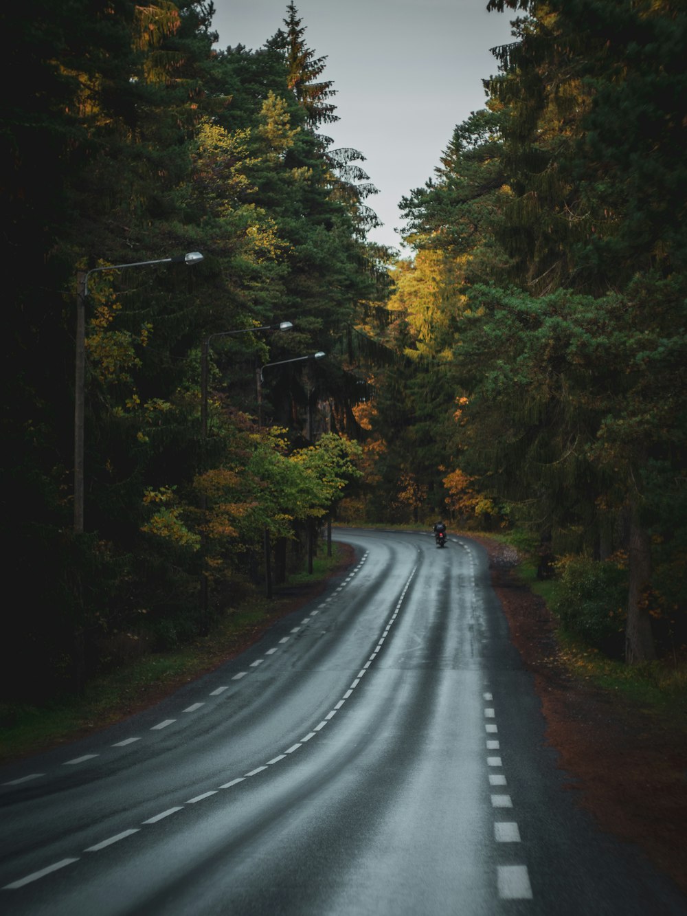 gray concrete road between green trees during daytime