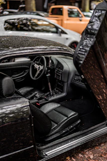 Close-up of a professional chauffeur assisting a passenger into a comfortable luxury vehicle.