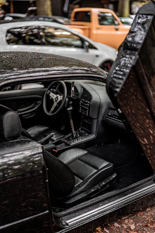 Close-up of a professional chauffeur assisting a passenger into a comfortable luxury vehicle.