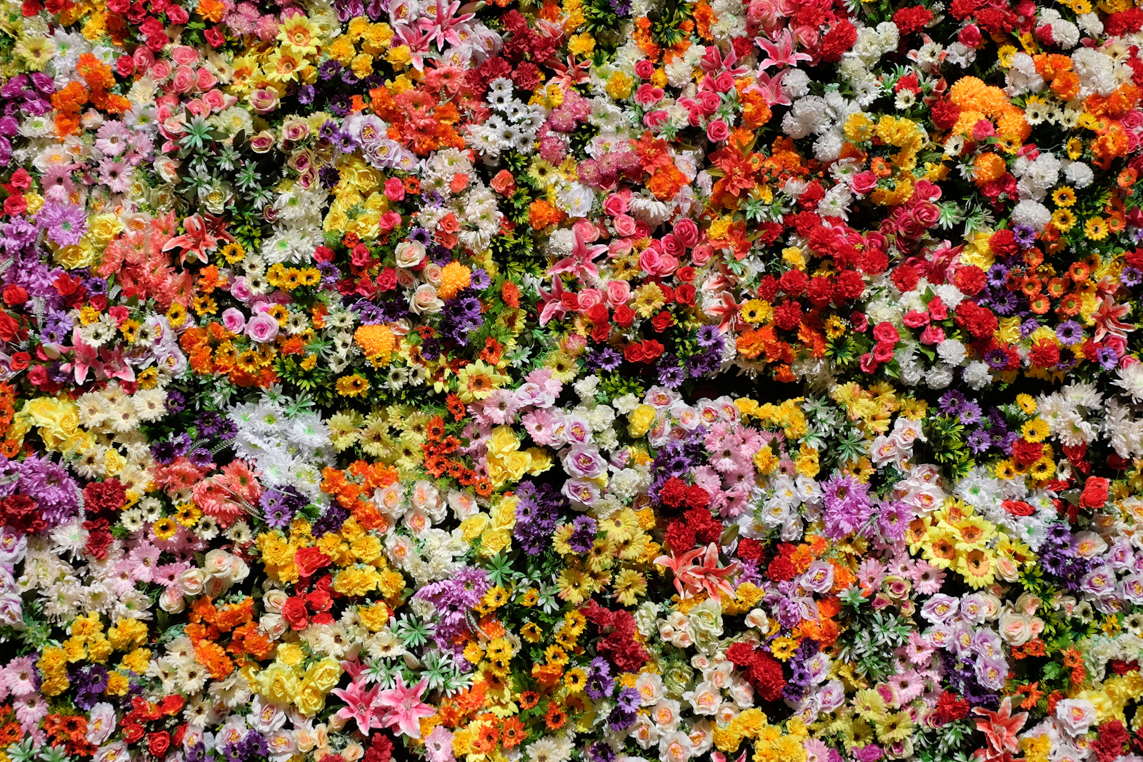 Colorful flower petals