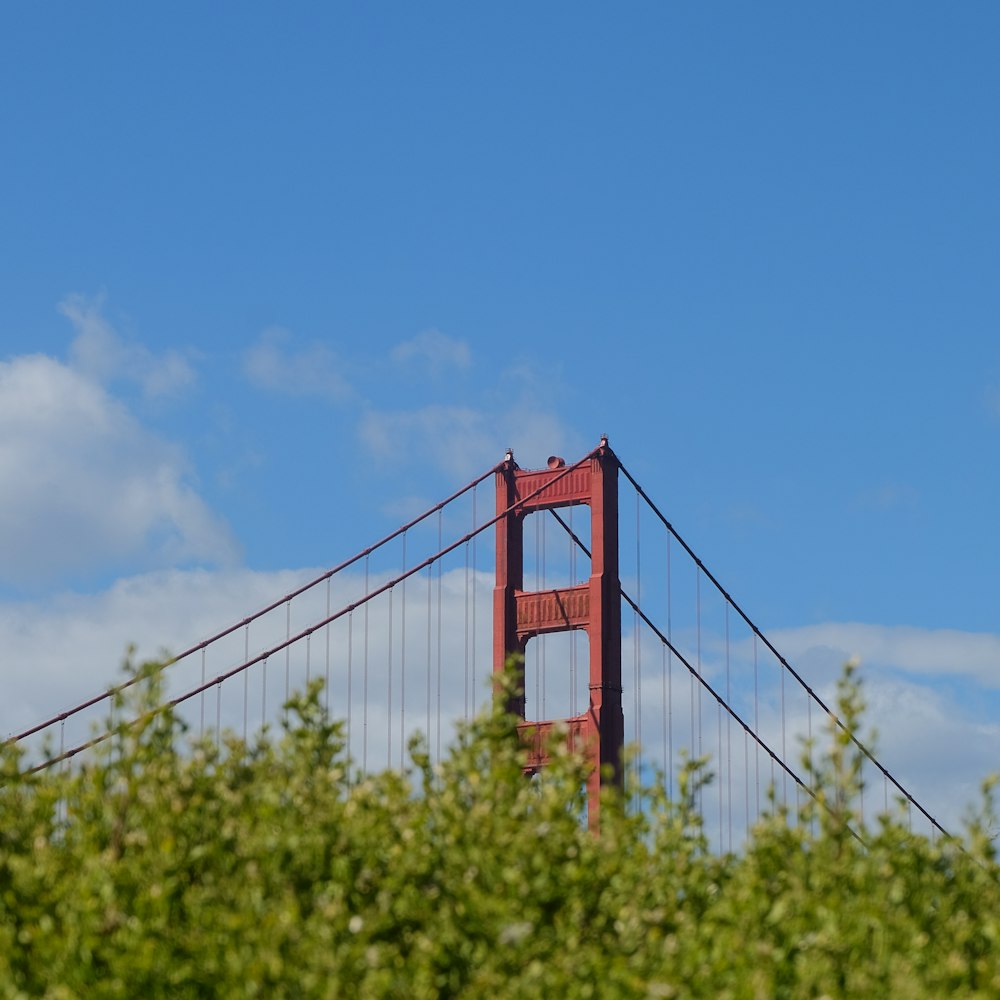 golden gate bridge san francisco california