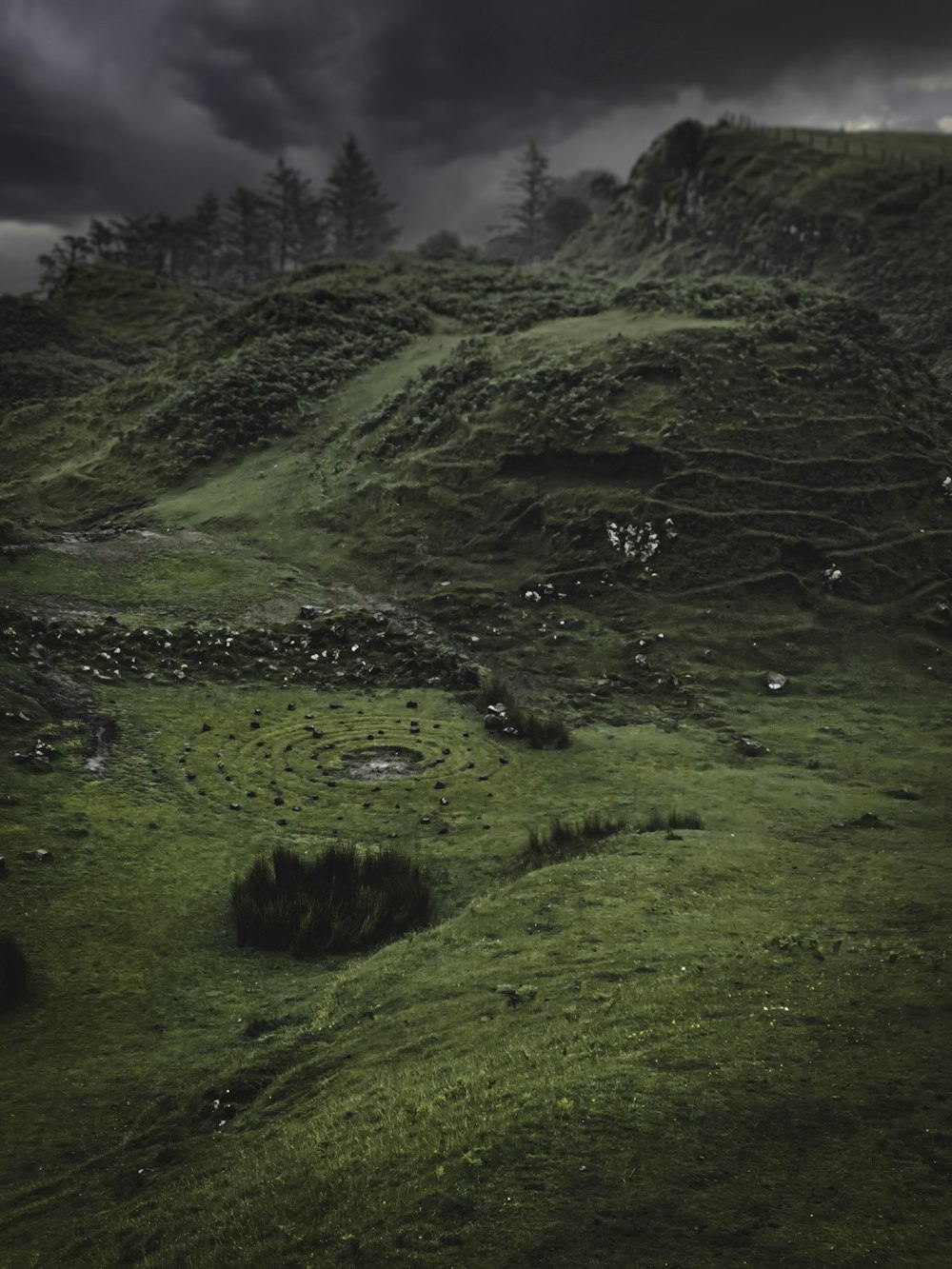 campo di erba verde sotto il cielo bianco durante il giorno