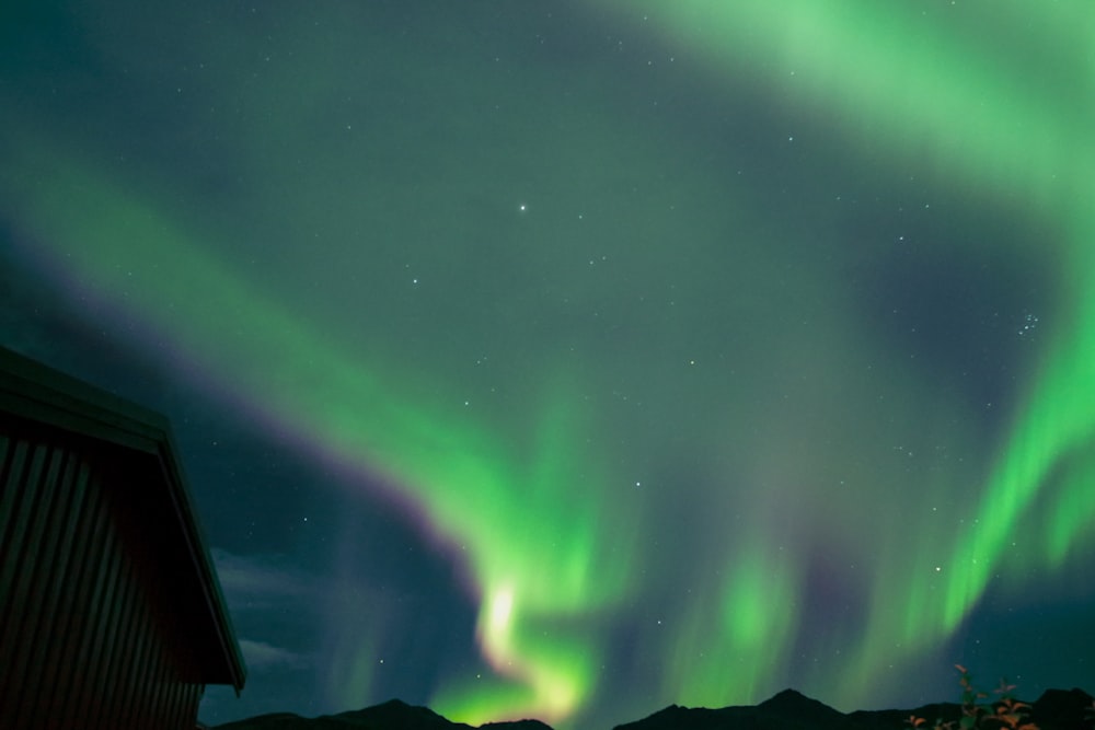 green aurora lights during night time