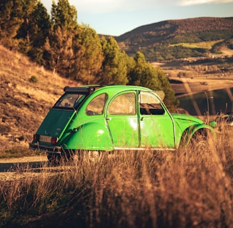 green volkswagen beetle on brown grass field during daytime