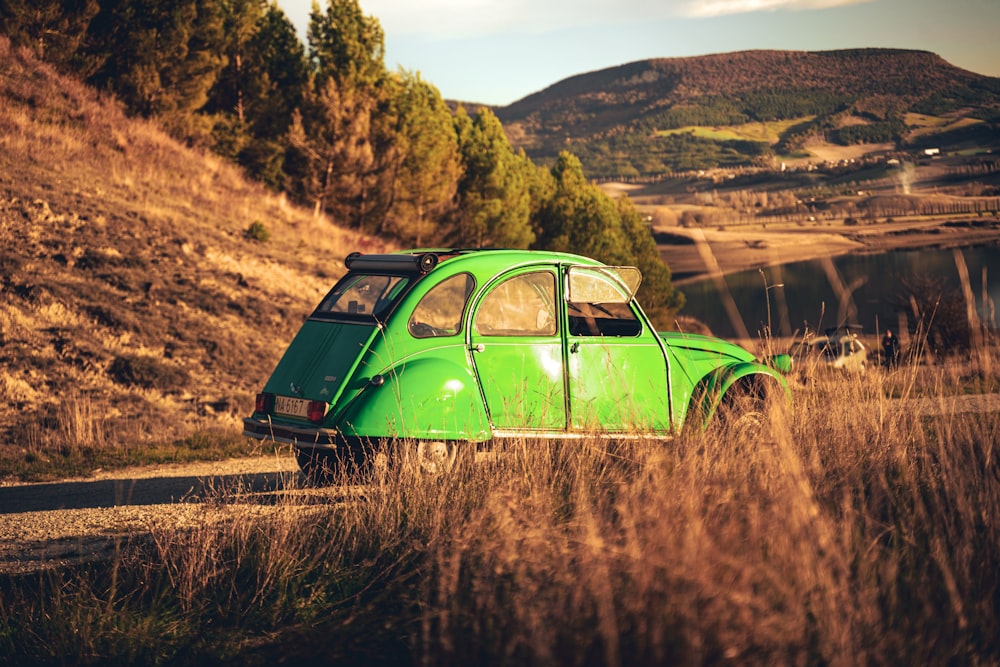 green volkswagen beetle on brown grass field during daytime