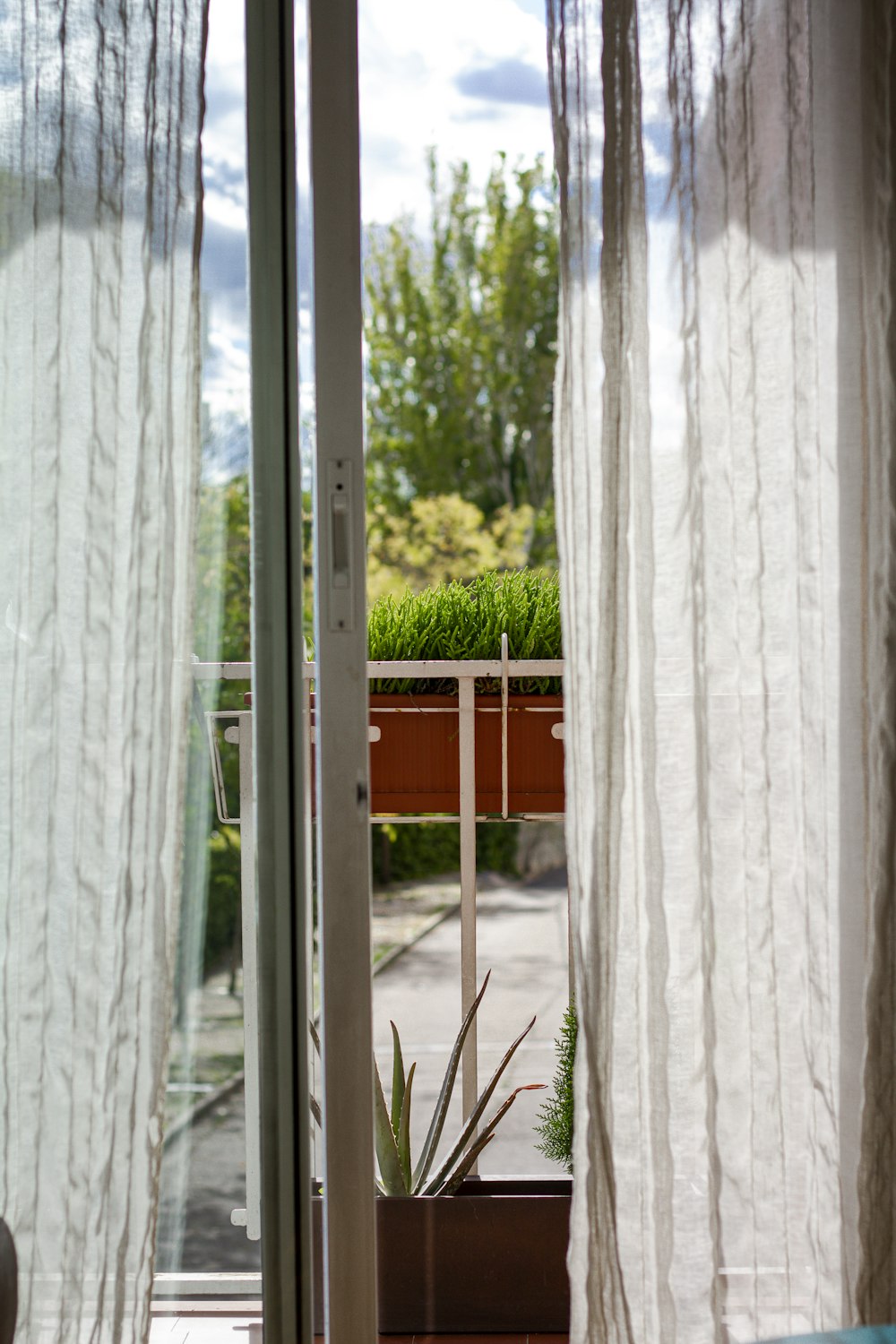 white window curtain near green trees during daytime