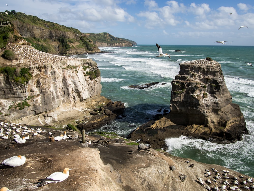 person in white shirt standing on brown rock formation near body of water during daytime