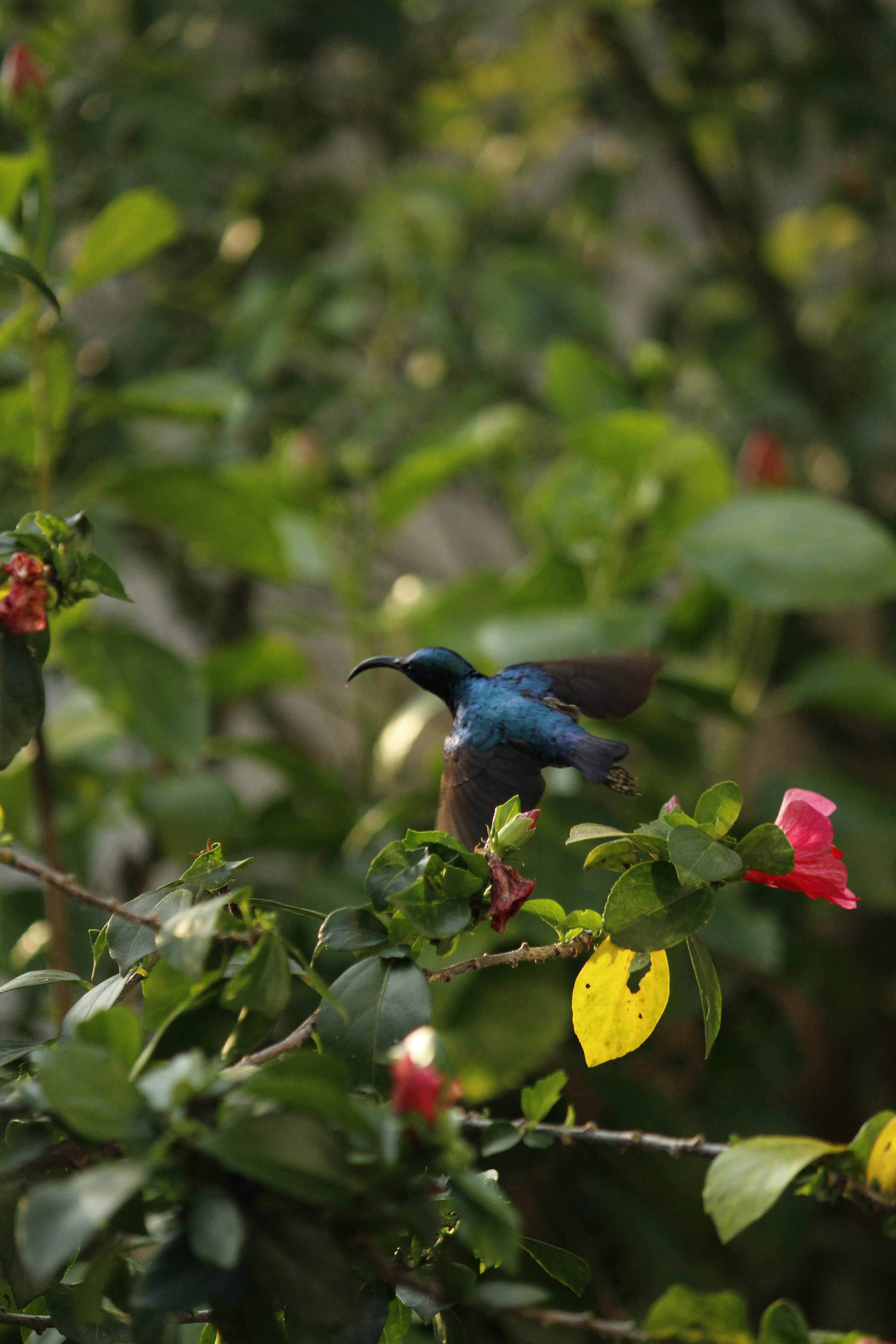 Photo by meindheeraj