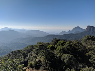green trees on mountain under blue sky during daytime