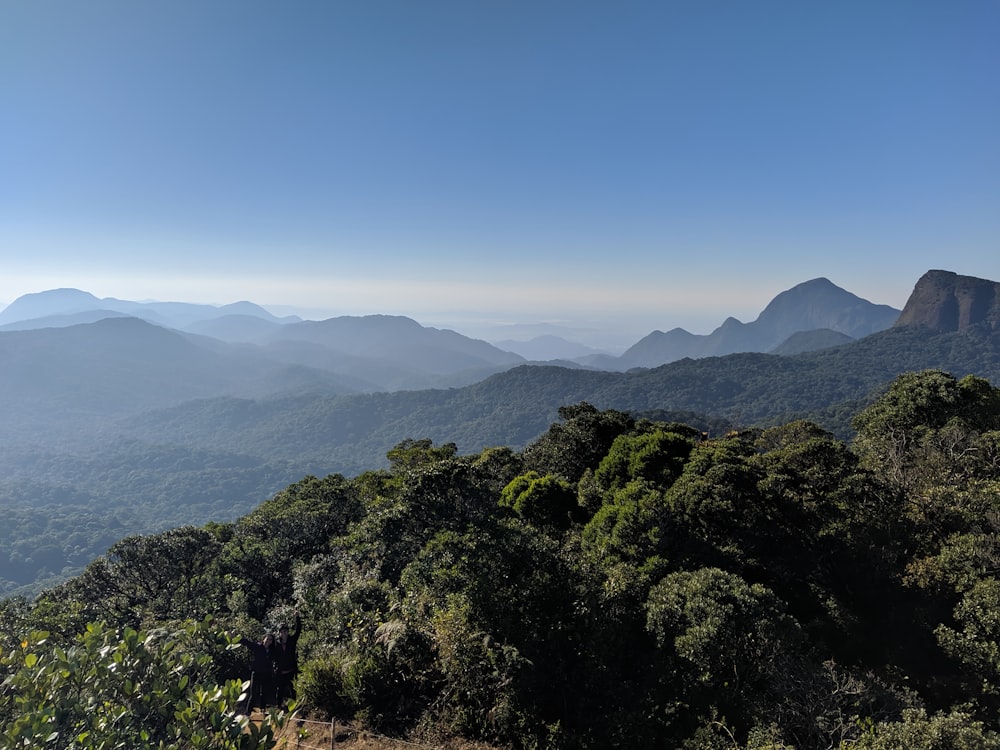 árvores verdes na montanha sob o céu azul durante o dia