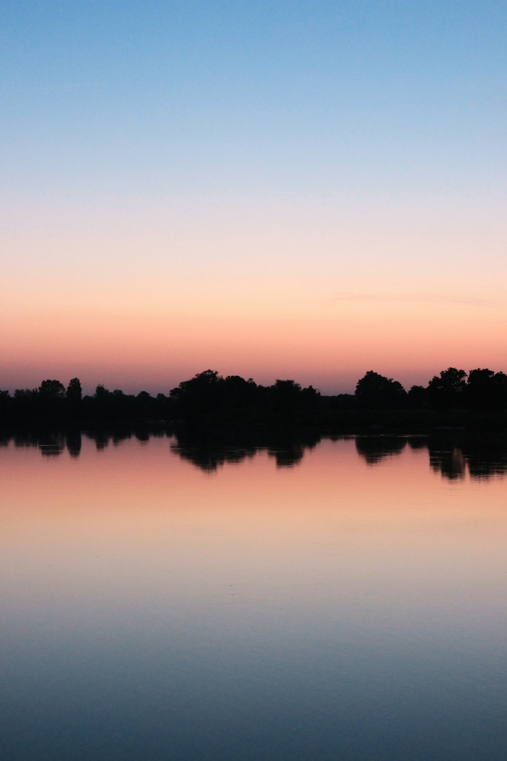 silhouette of trees near body of water during sunset