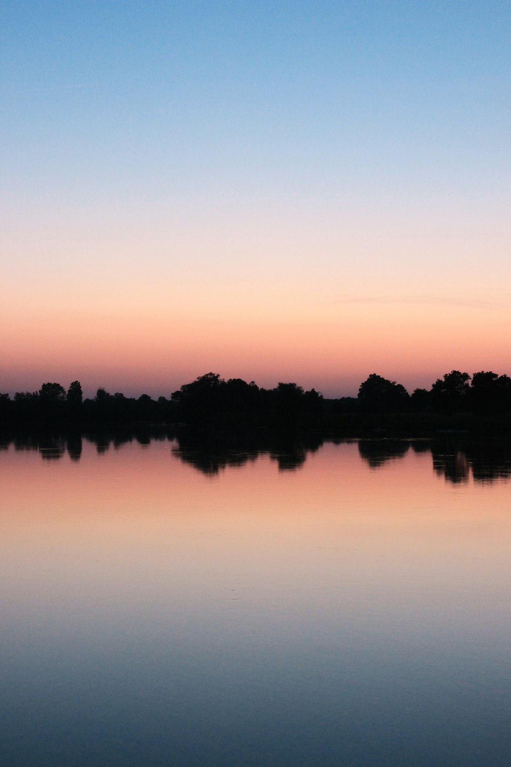 silhouette d’arbres près du plan d’eau au coucher du soleil
