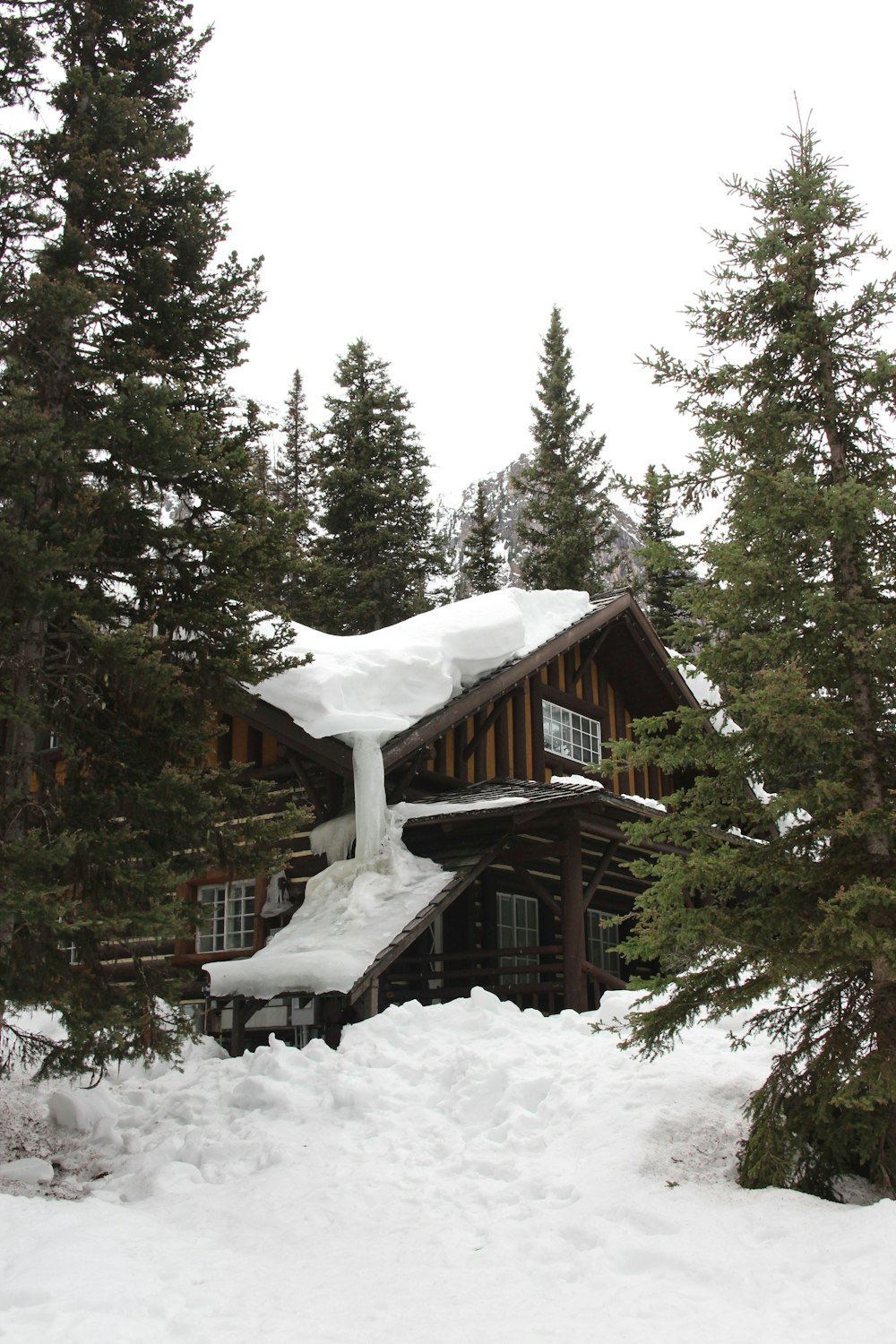 brown wooden house covered with snow surrounded by green trees during daytime