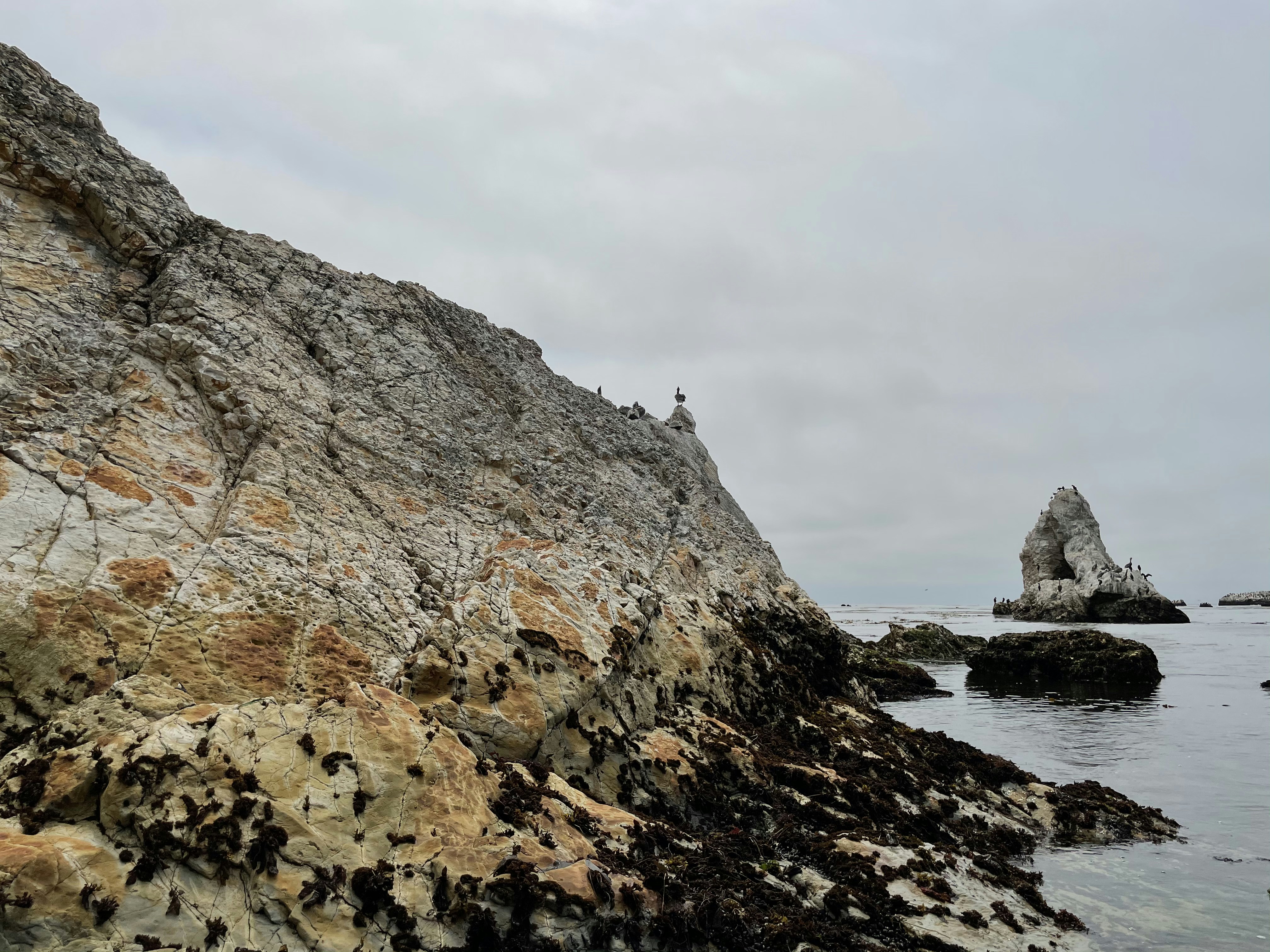 Photo by dentrushtin