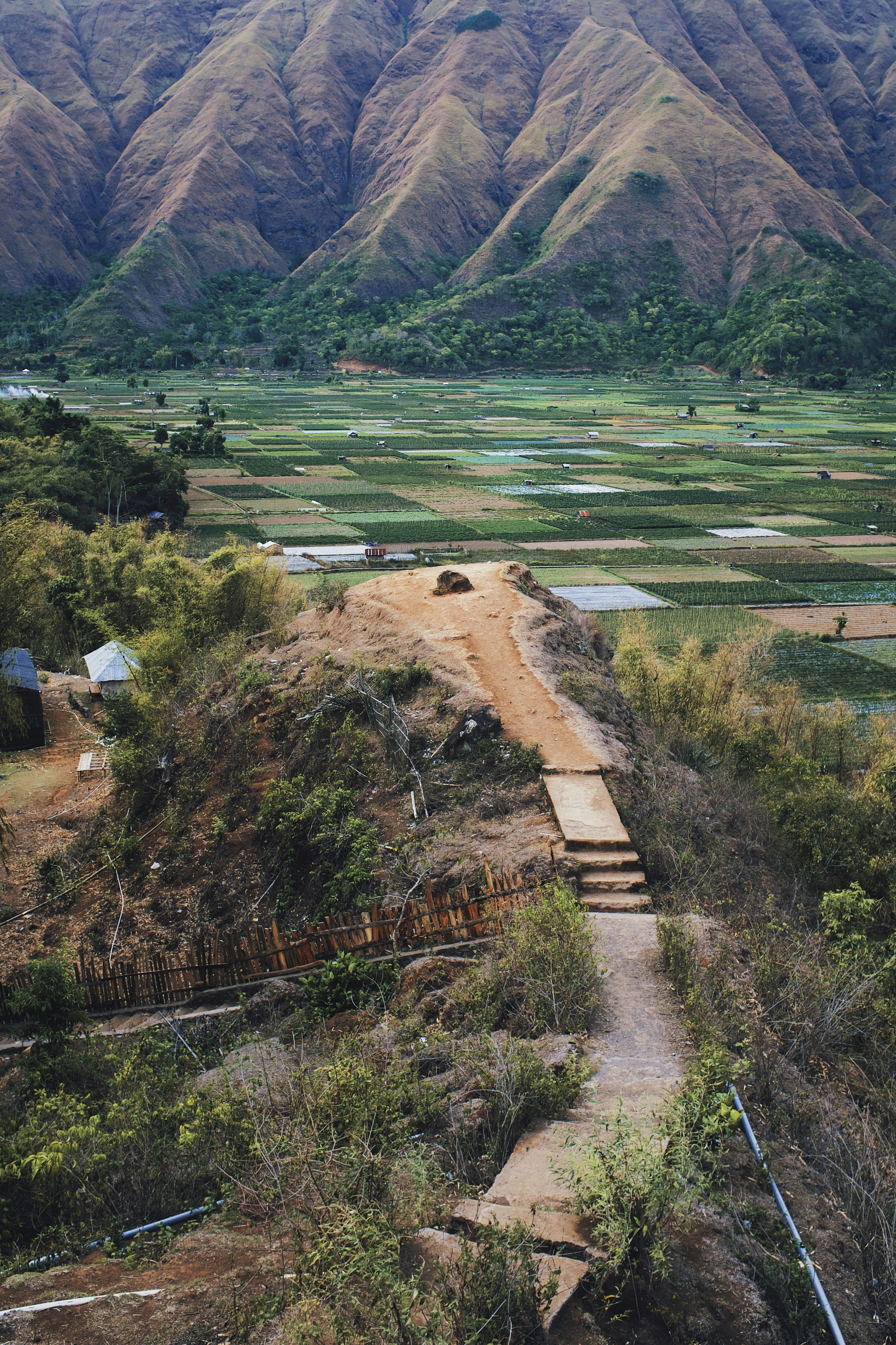 Luftaufnahme des grünen Rasenfeldes während des Tages