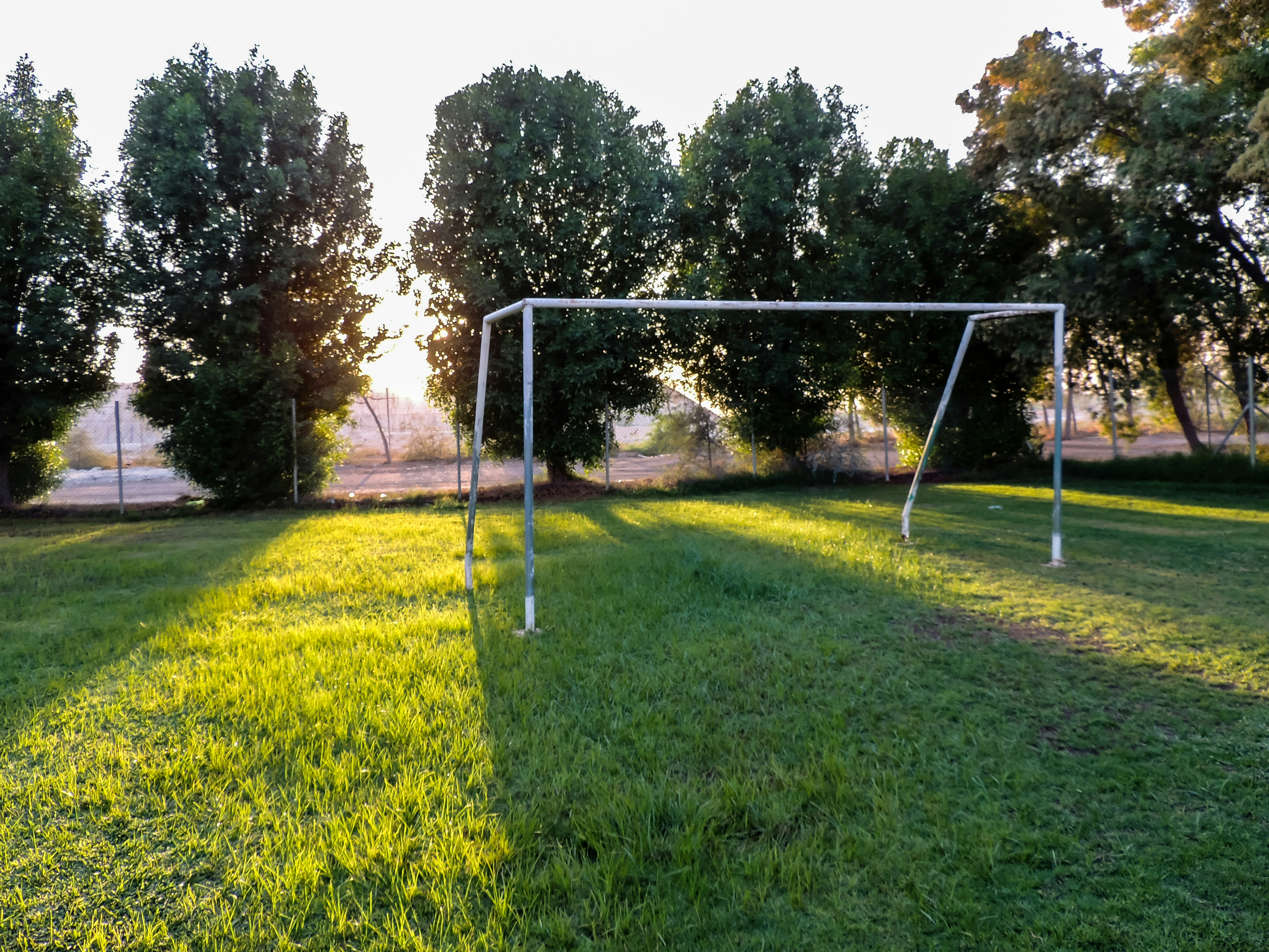 green grass field with trees during daytime