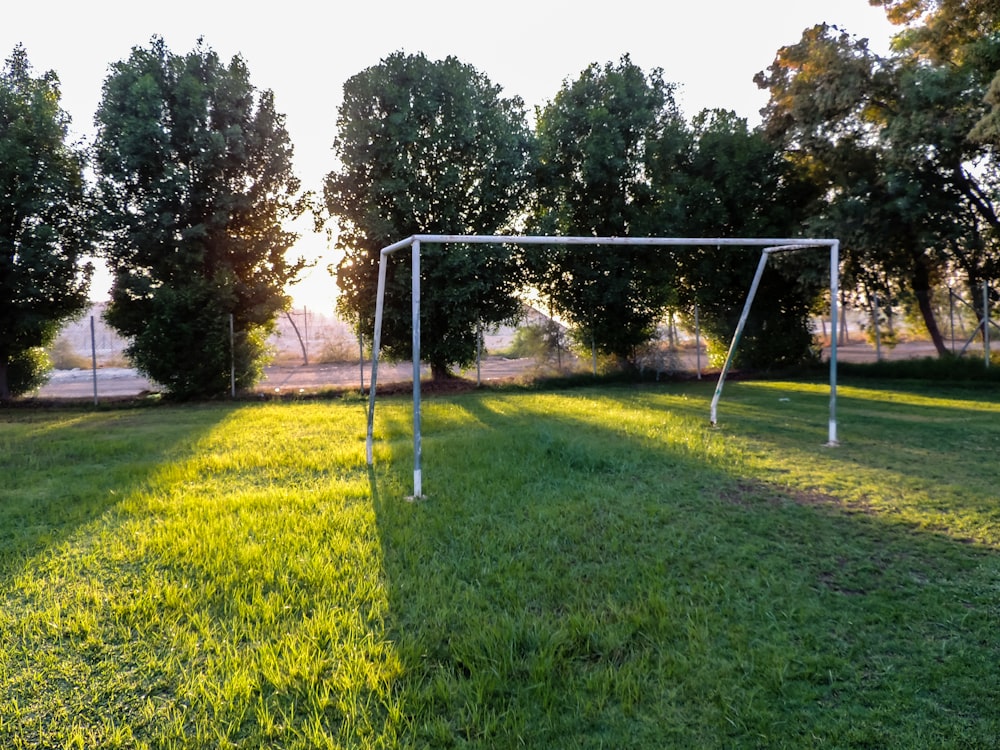 green grass field with trees during daytime