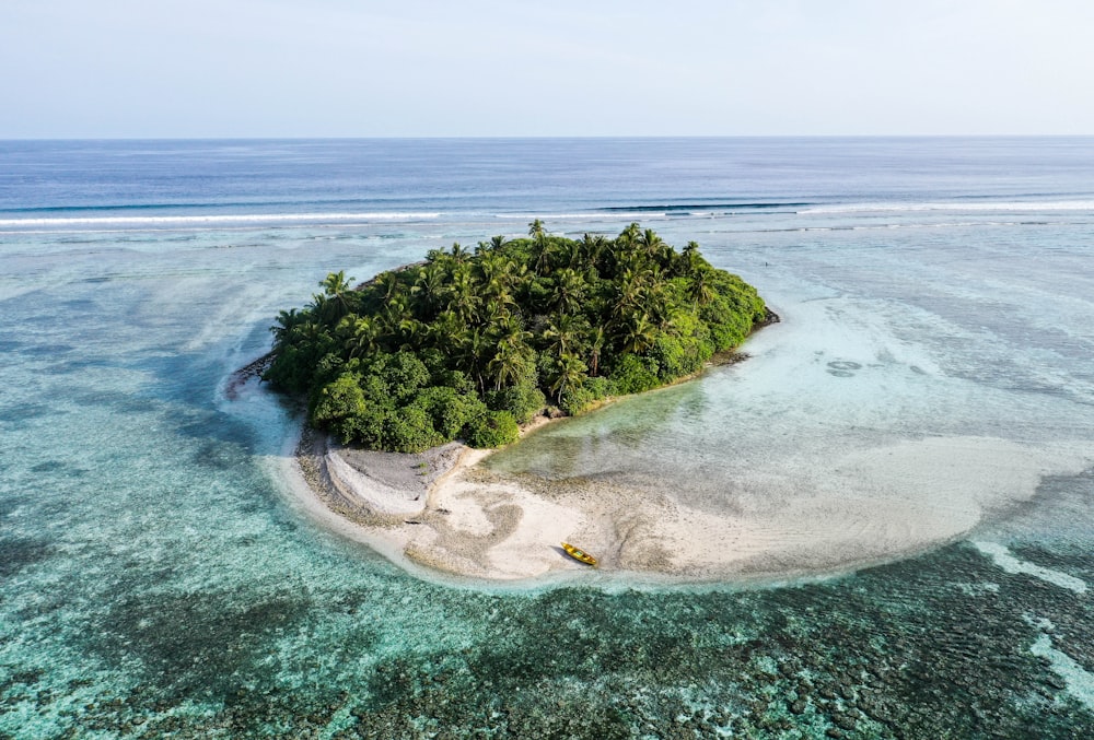 Grüne Bäume auf der Insel tagsüber