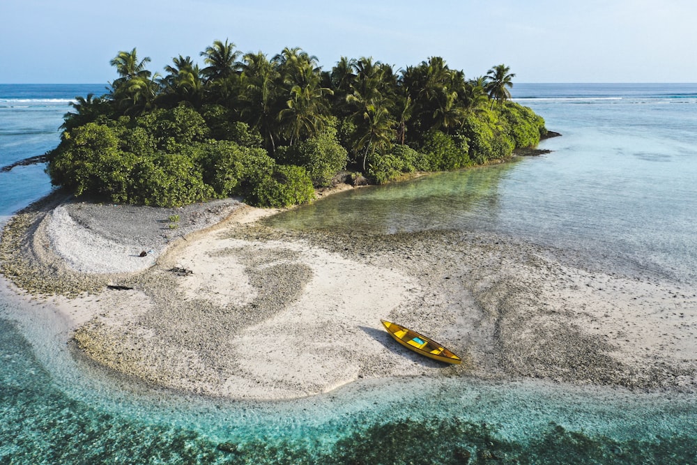 yellow and black boat on seashore during daytime