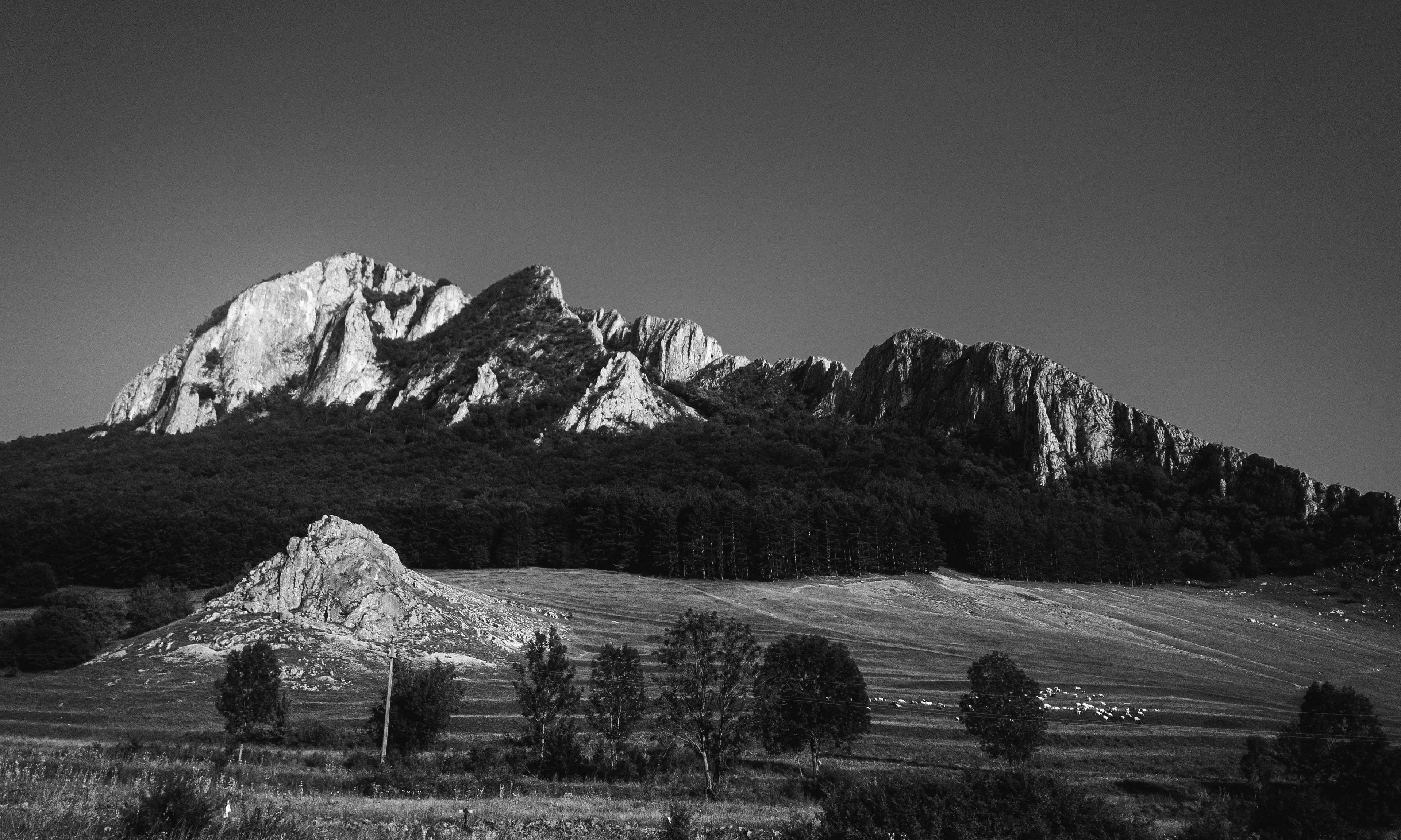 Photo by dtphotography