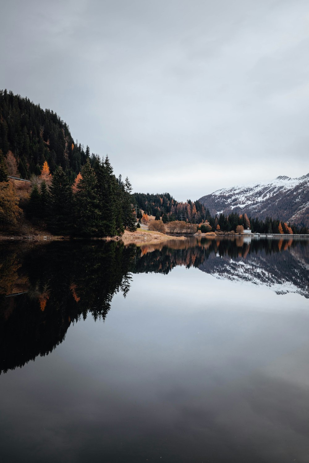 green trees near lake under white sky during daytime