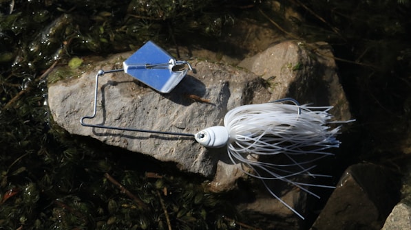 A metal fishing spinnerbait with a silver blade and white skirt is placed on a rock surrounded by water and vegetation.