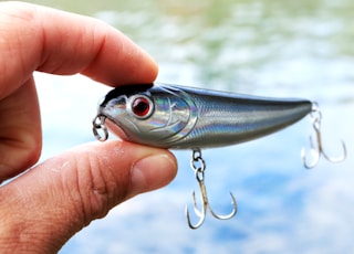 person holding silver fish during daytime