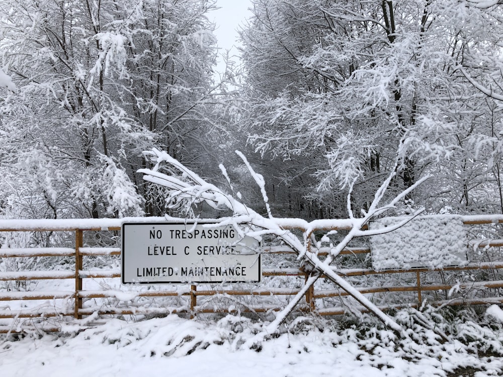 snow covered trees and road sign