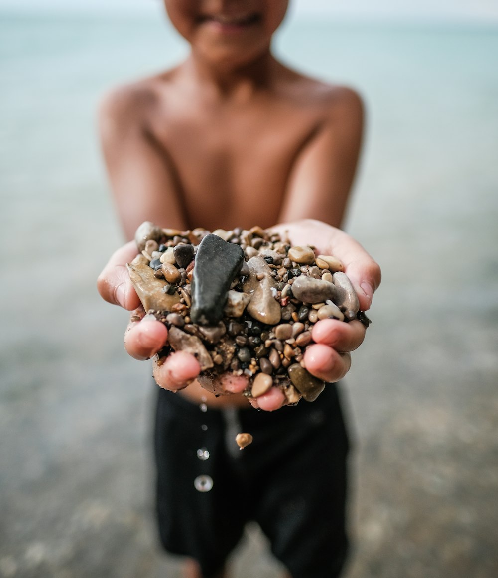 person holding black and white stones